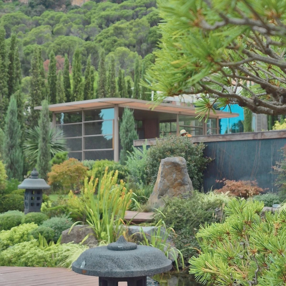 Landscape Designer